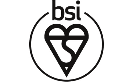 bsi_29100